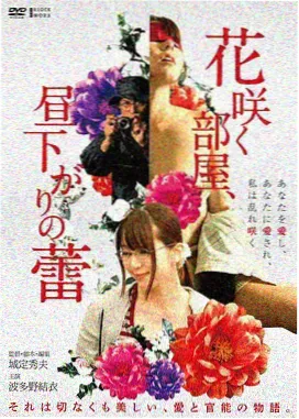 最强之敌Z 剧场版 草帽一伙集结剧照